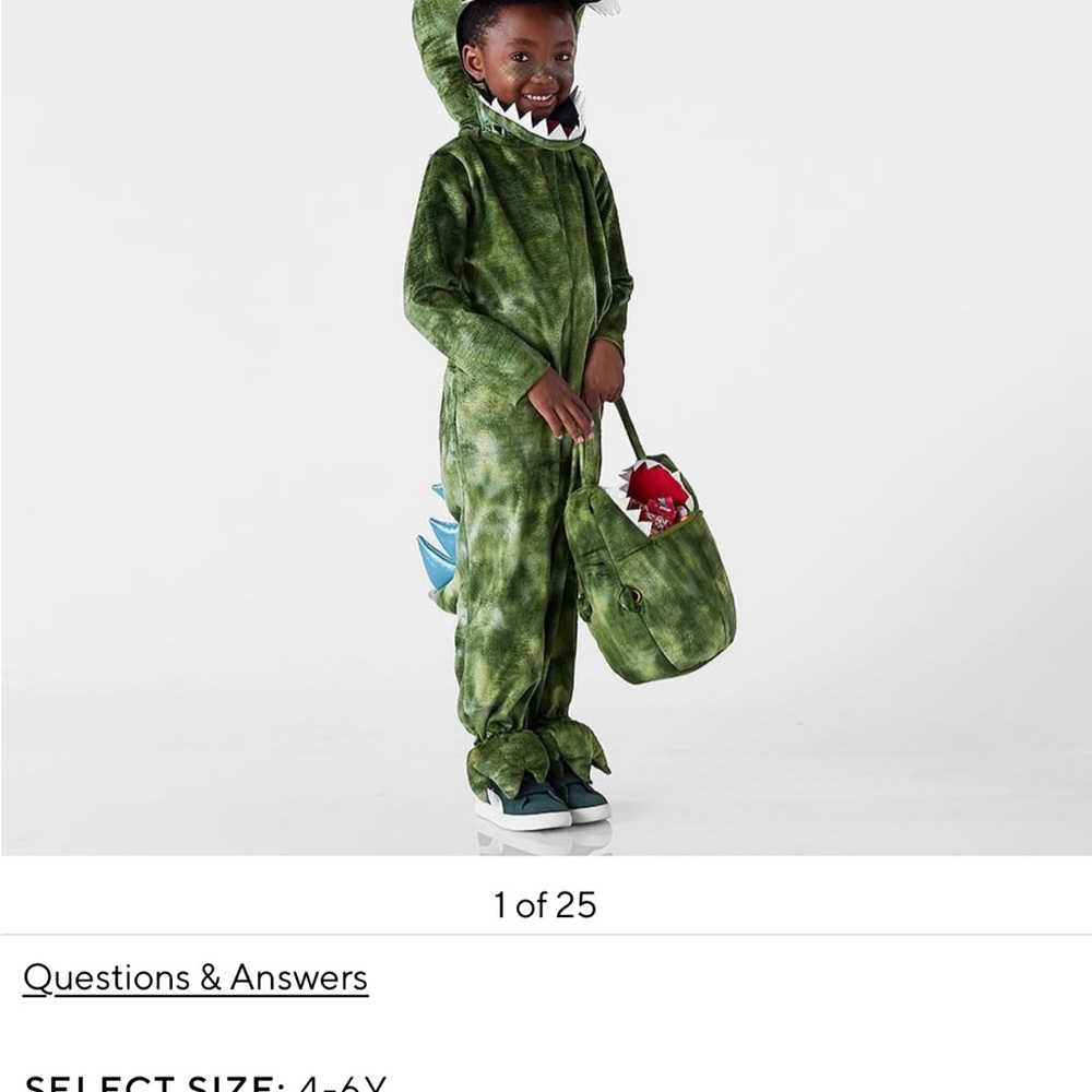 Pottery Barn Kids Green Dinosaur Costume